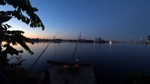 Рыбалка возле дома. Ловлю судачков на кусочки рыбы.#судакночью  #судак