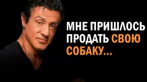 Никогда не сдавайся | Сильвестр Сталлоне #саморазвитие