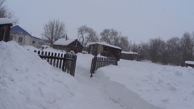 В снежном плену Алтайский край Дороги перекрыты Сильная метель смотреть онлайн