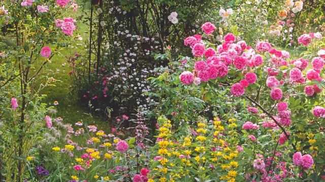 Mozart - Sonata for piano and violin K296 II Andante sostenuto смотреть онлайн