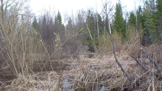 Первомайский сплав по реке Вая. Часть 1.