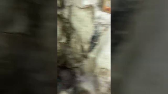 Пещера монаха г.Хвалынск смотреть онлайн