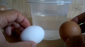 КАК ПРОВЕРИТЬ ЯЙЦА  НА СВЕЖЕСТЬ
