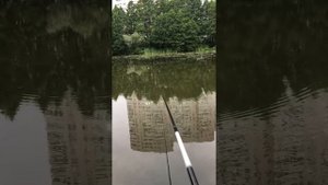 Пушкино. Река Серебрянка.