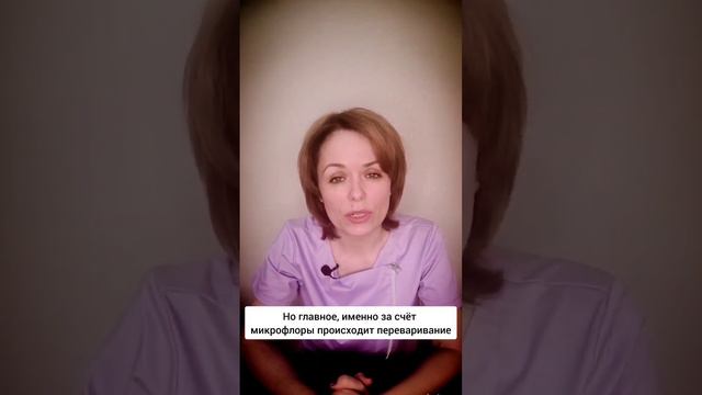 Для чего нужна желчь смотреть онлайн