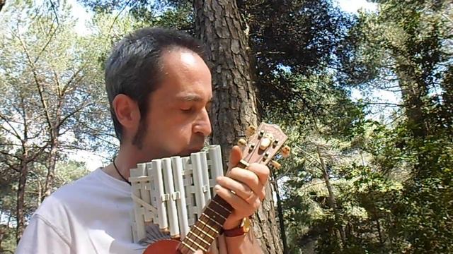 What a Little Moonlight Can Do - Ukulele and Pan Flute in the Woods смотреть онлайн