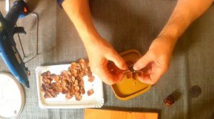 Поделки из шишек/Идеи как сделать цветы из шишек.How to make Pine Cone Flowers