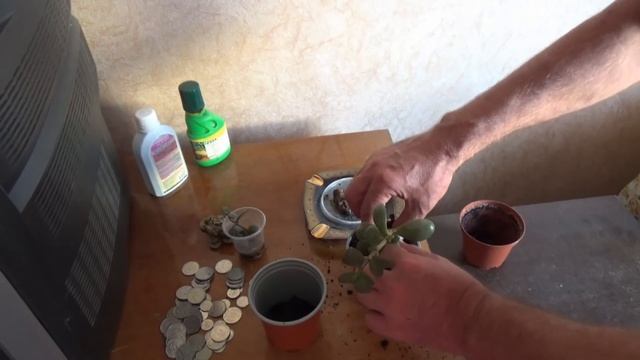 Как стать богатым и успешным ;) смотреть онлайн