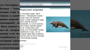 черная книга и немного о животных из неё