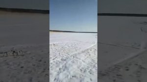 Песчанское Курганская обл