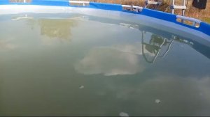 Очистка грязной воды в каркасном бассейне.