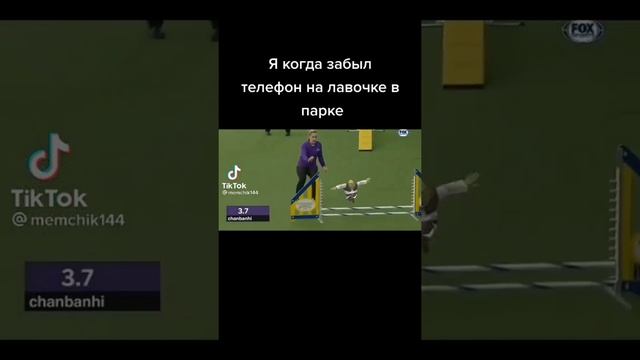 #мем #смех #ржака #смешно #шрек #телефон #техника #урыл #подпишись #лайк #колокольчик #комент смотреть онлайн