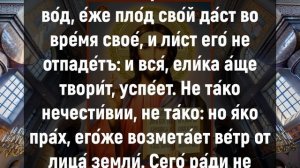 СКАЖИ ЭТО И С ТОБОЙ СЛУЧИТСЯ ЧУДО. Утренние молитвы на день. Иисусова молитва, псалом