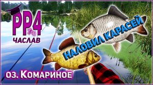 РР4 ОЗЕРО КОМАРИНОЕ КАРАСЬ / ВЬЮНОК / ЧАСЛАВ #6 - НАЛОВИЛ КАРАСЯ