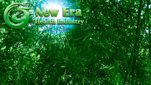 New Era Health Industry