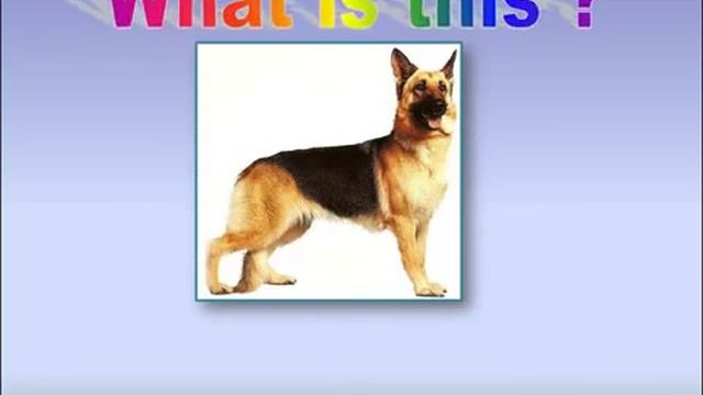 Вопросительное слово 'WHAT'  и  указательное местоимение'THIS'