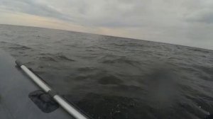 С острова Мощный