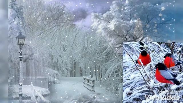 Весёлой Зимы! Поздравление с Зимой! смотреть онлайн