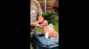 Борьба с кротом на садовом участке