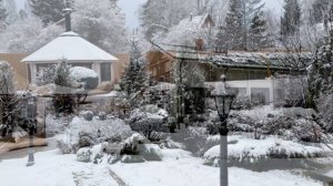 Композиции в ландшафтном дизайне  Красота в деталях