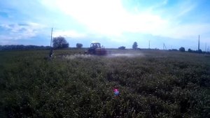 Внекорневые подкормки озимой пшеницы карбамидом