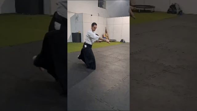 Ushiro Tsuki - Aikido