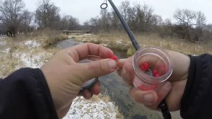 Fishing a HIDDEN Pond w/ GIANT Fish!! -- Google Maps Fishing Challenge