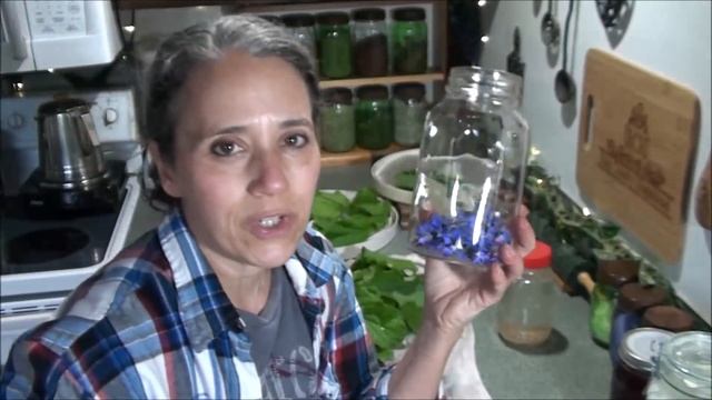 Borage and How I Use It смотреть онлайн