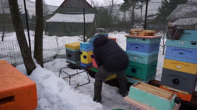 Как зимуют пчёлы смотреть онлайн