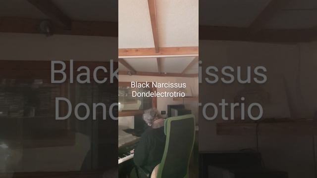Black Narcissus Dondtrio смотреть онлайн
