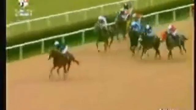 MR.ERDEM 19/02/2005 ADANA смотреть онлайн