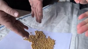 Тест Инокулянта: Нитрофикс П. ООО БИОНА