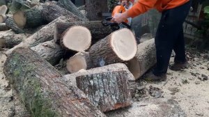 Какую бензопилу лучше  купить для себя