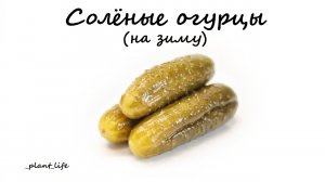 СОЛЕНЫЕ ОГУРЦЫ | список ингредиентов под видео ?