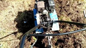 Фрезеруем суглинок - целину на втором участке.