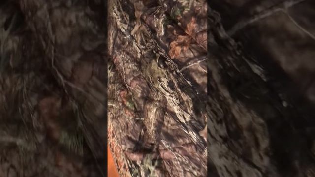 Продаю монгольский спальный мешок (верблюжья шерсть) по оптовым ценам смотреть онлайн