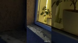 пластиковые окна. зима. дует с окна. устраняем причину