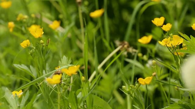 9 грамм свинца смотреть онлайн