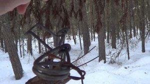КП -120 для Ящика на Жерди. / Охота на Куницу капканами. Сезон 22-23г.