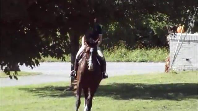 Galatea October 1, 2018 смотреть онлайн