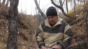 Медвежья история