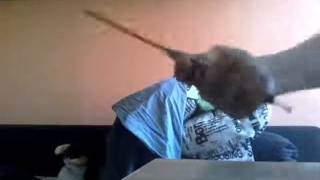 Как крутить расчёску бабочку