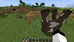 СЕКРЕТЫ БИРОК В МАЙНКРАФТ | MINECRAFT