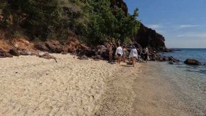 Ко Лан - Паттайя! Самый знаменитый пляж с обезьянами!