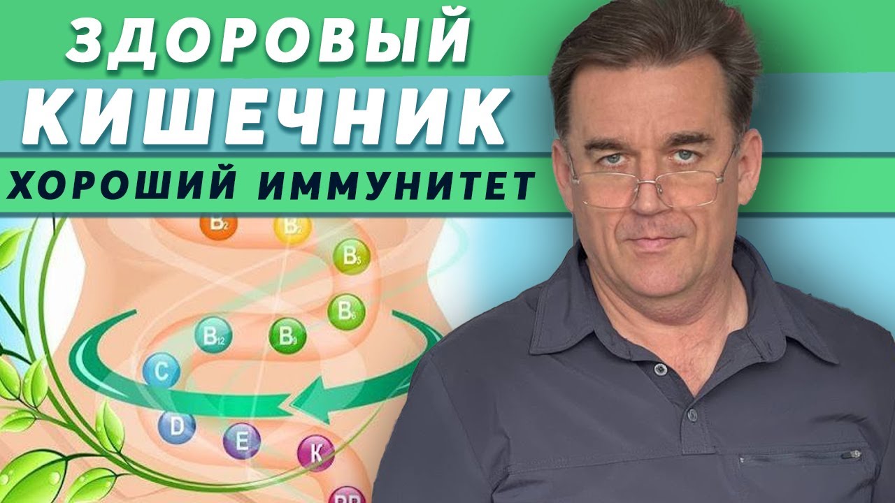 Здоровый кишечник – залог крепкого иммунитета | Несколько правил для здоровья кишечника