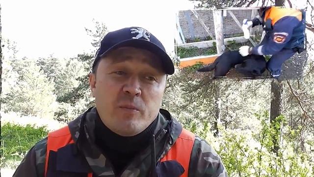 Средство от клещей для собак смотреть онлайн