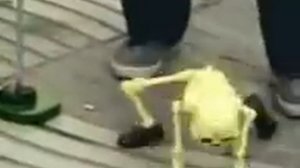 Двигай задом. Танцует скелет