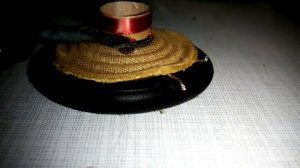 Ремонт динамика. Обрыв катушки