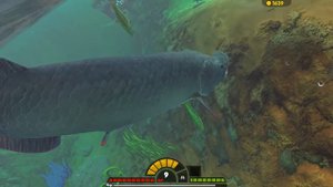 ОГРОМНАЯ РЫБА АРАПАЙМА ВСЕХ СЪЕЛА, ОБНОВЛЕНИЕ | Feed and Grow Fish