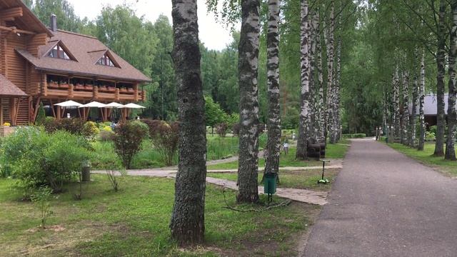 Романов лес